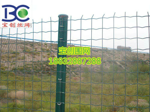 運(yùn)動(dòng)場圍網(wǎng)